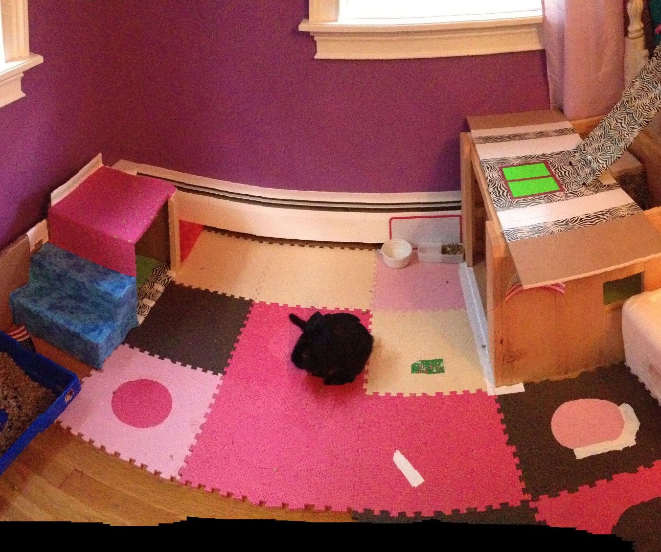 Bunny Play Sanctuary