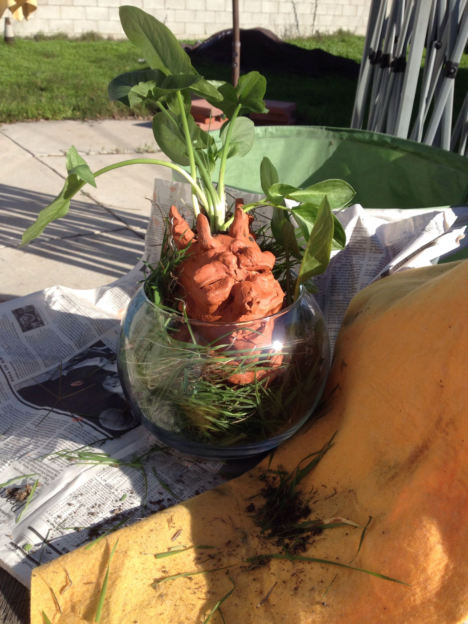 Harry Potter Mandrake Root : 4 Steps - Instructables