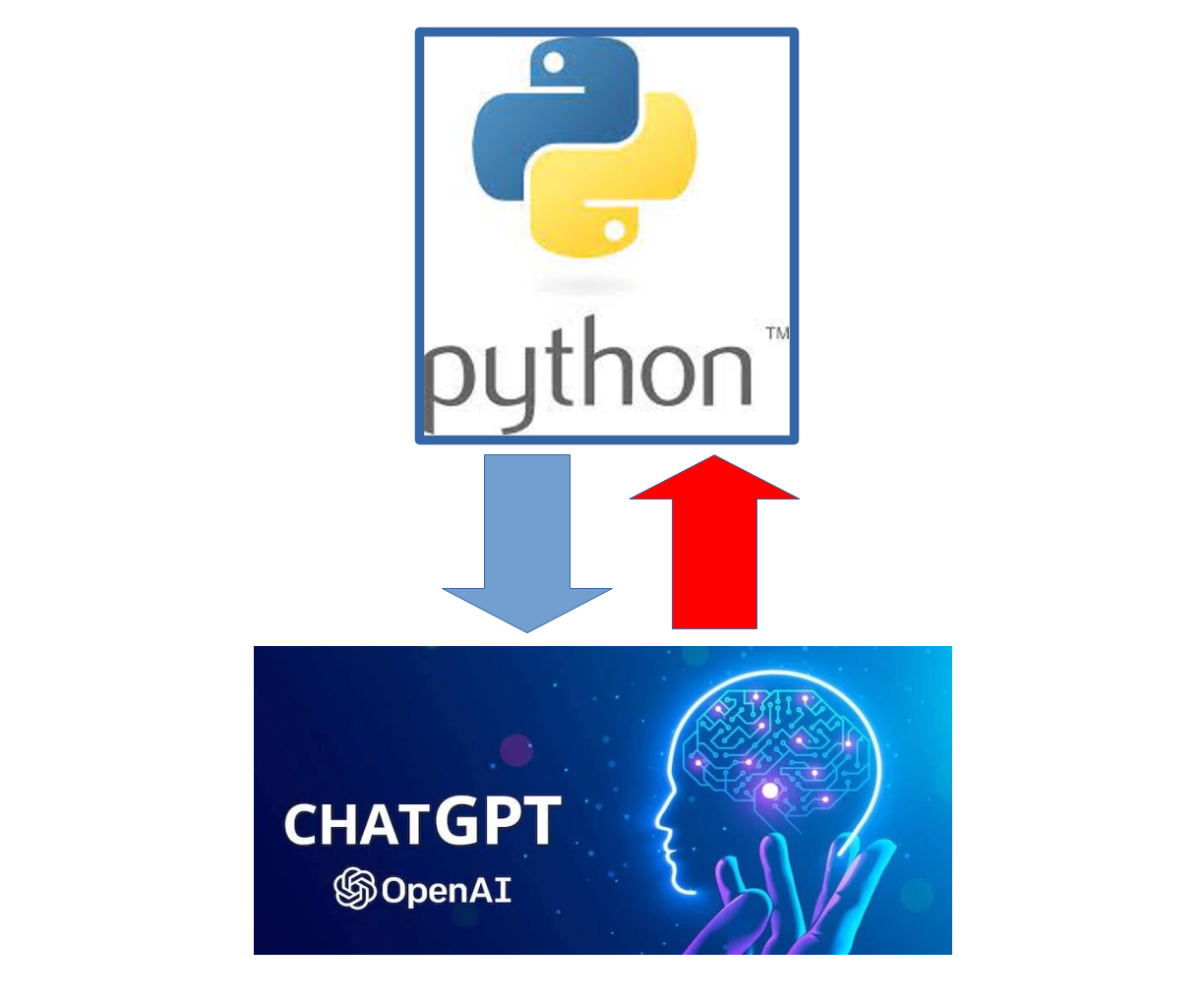 How to Set Up Python to Interact With ChatGPT