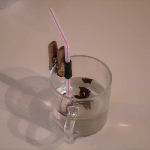 Drinking Straw Holder