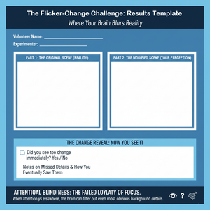 Rhythm 1 - the Attention Loop: