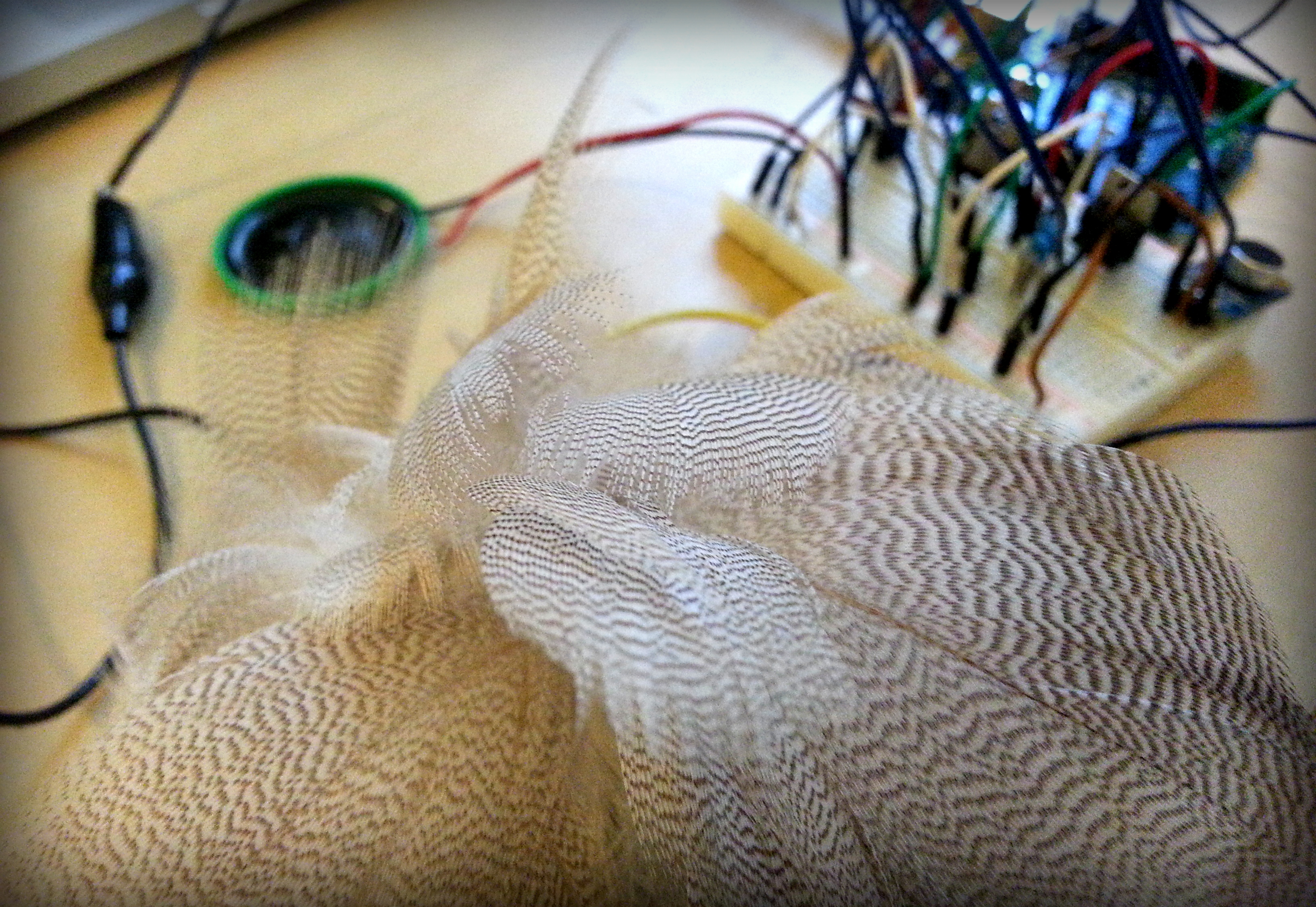 Make Your Arduino Sound and Move Like a Bird : 4 Steps - Instructables