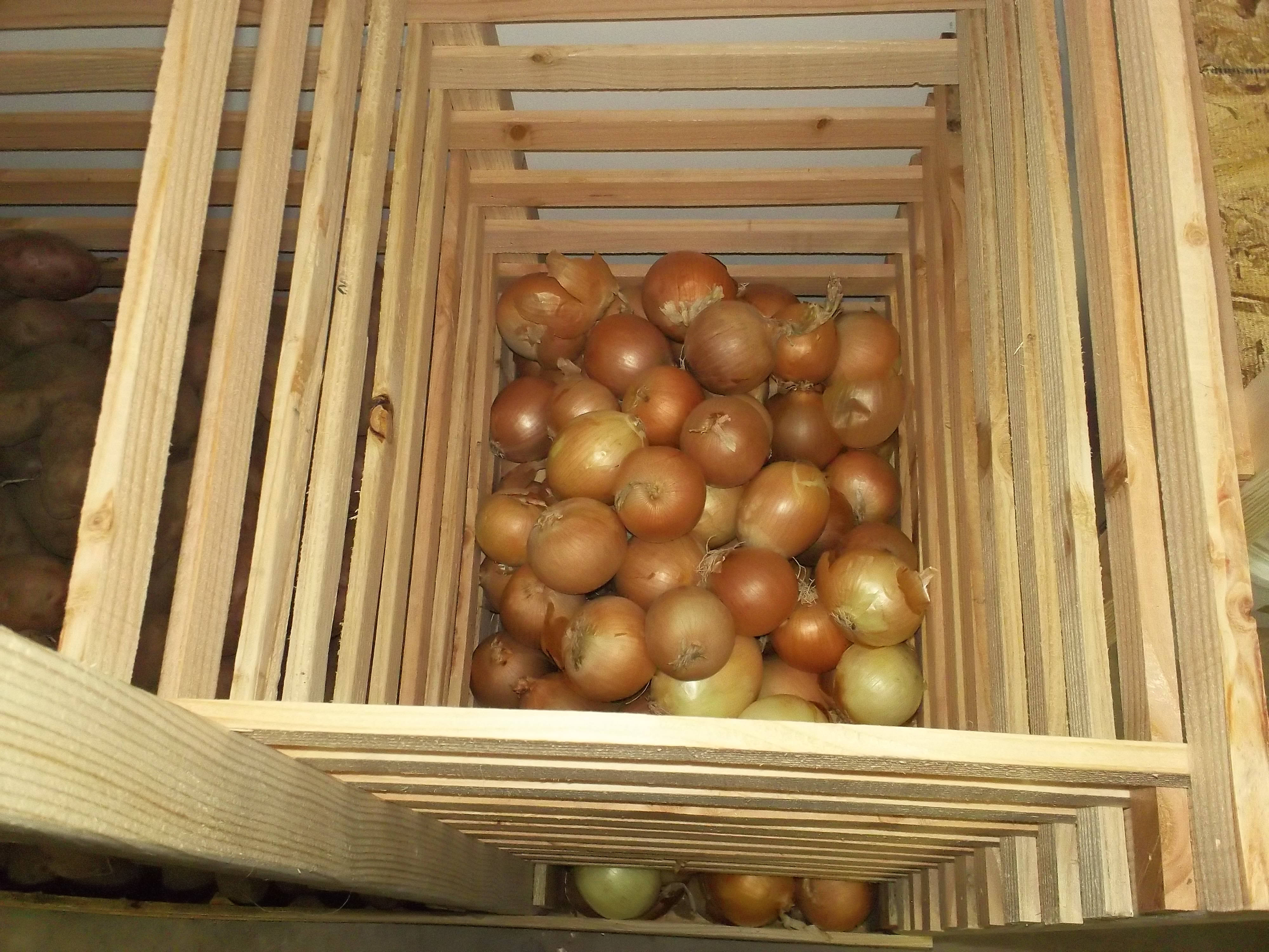 Tater + Onion Dispenser System 6 Steps (with Pictures) Instructables