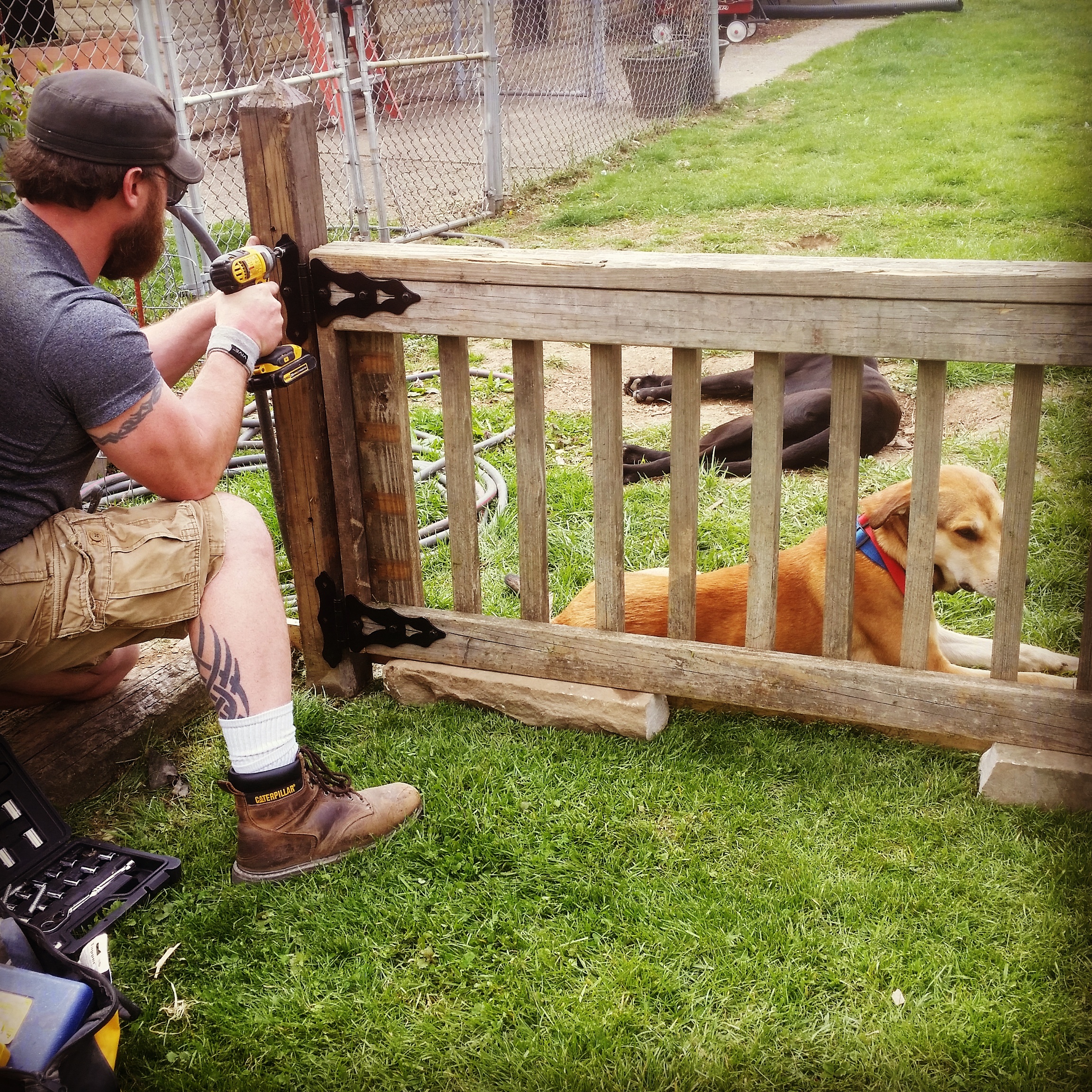 Reclaimed Garden Gate 