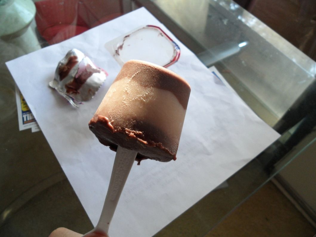 Homemade Pudding Pops and Giant Ice Cubes