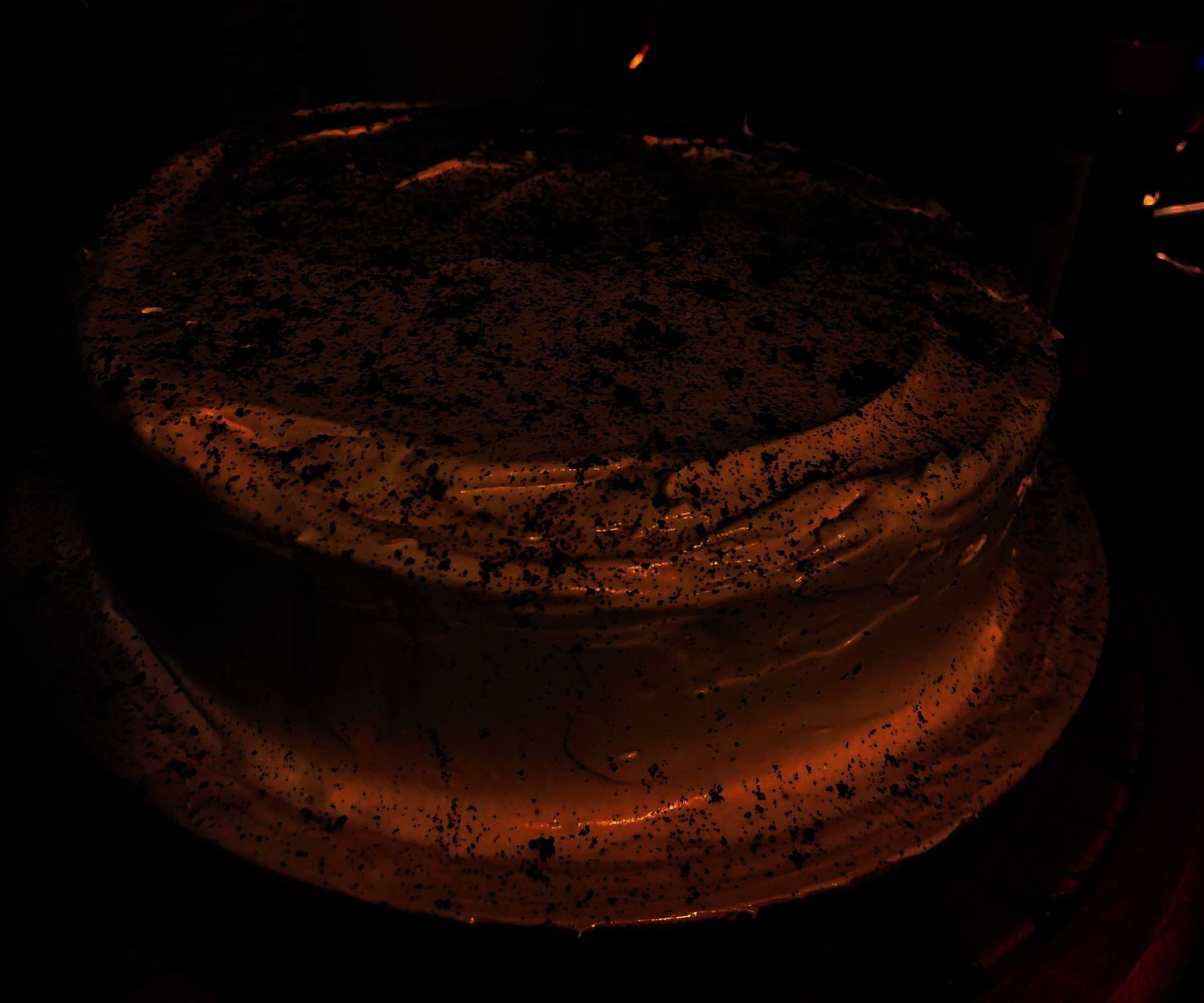 Home Made 2-Layered Ice Cream Cake