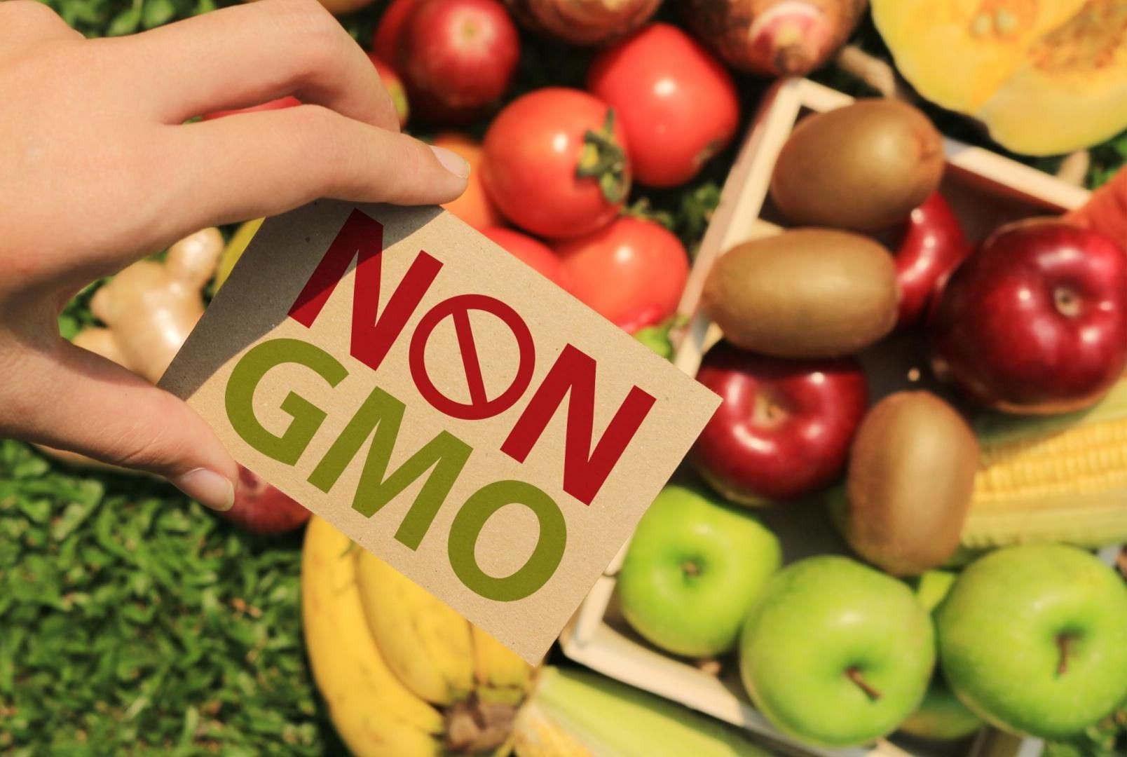 How to Create a Non-GMO Garden