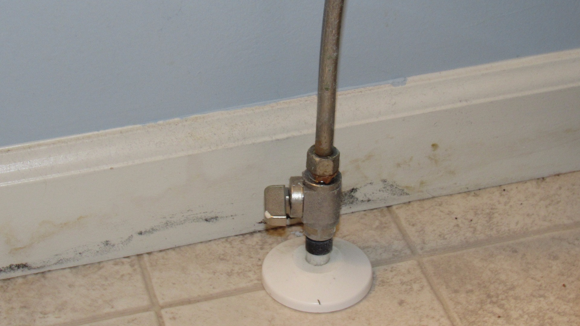 How to Fix a Leaking Toilet Tank 16 Steps (with Pictures) Instructables