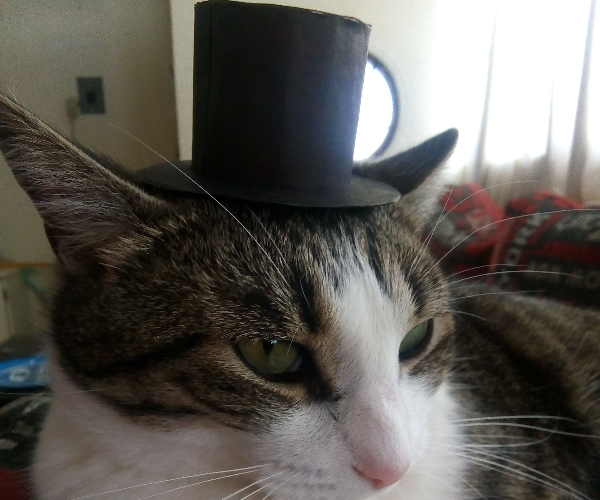 Cardboard Tiny Top Hat