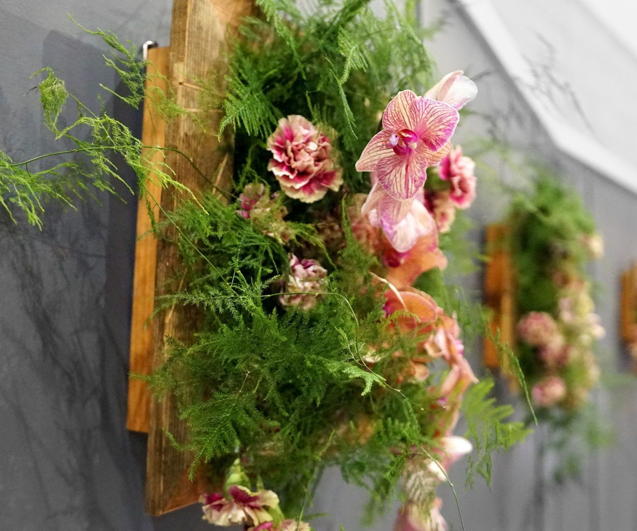 Reclaimed Living Walls