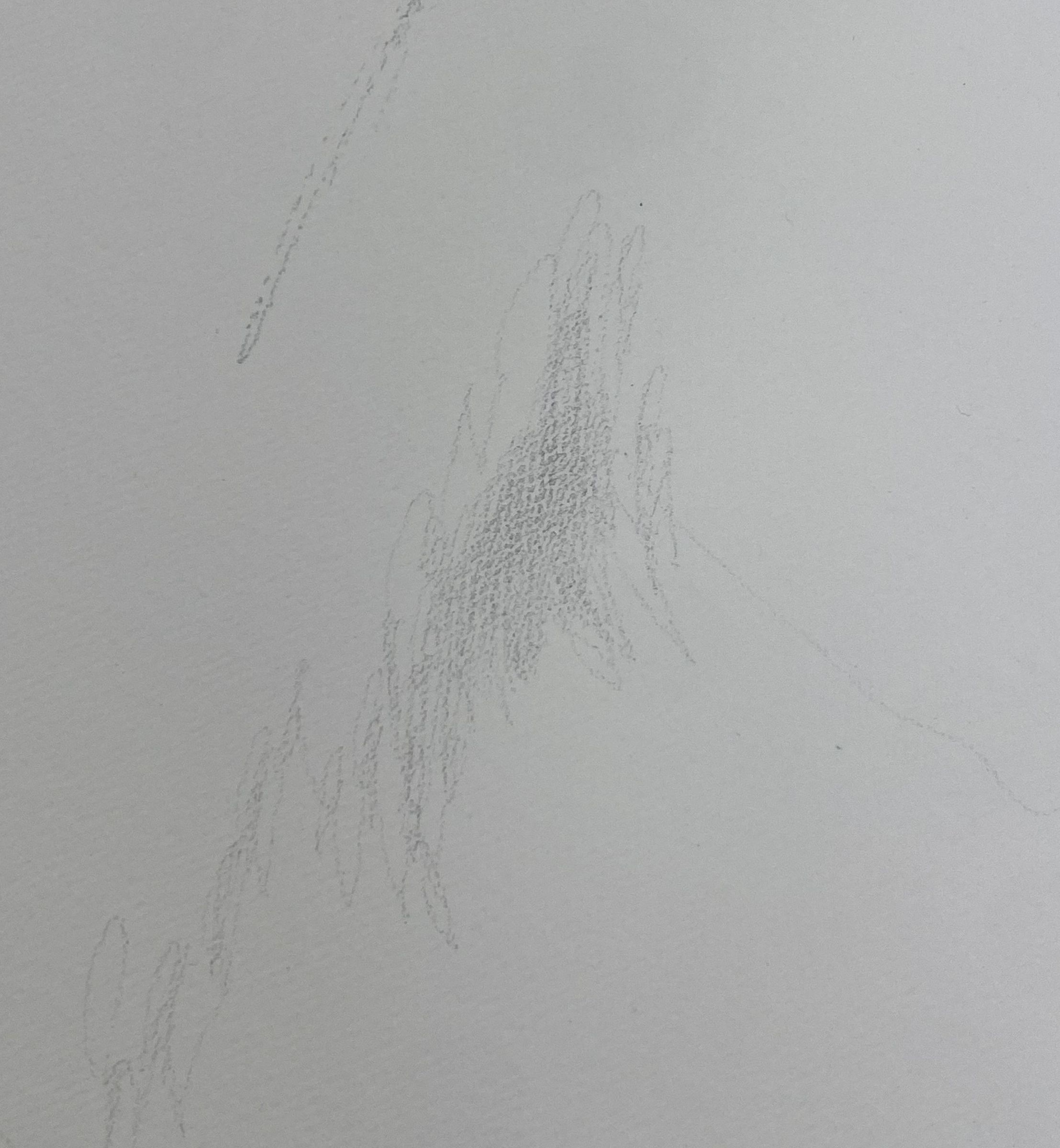 Scribbling X-Y Plotter