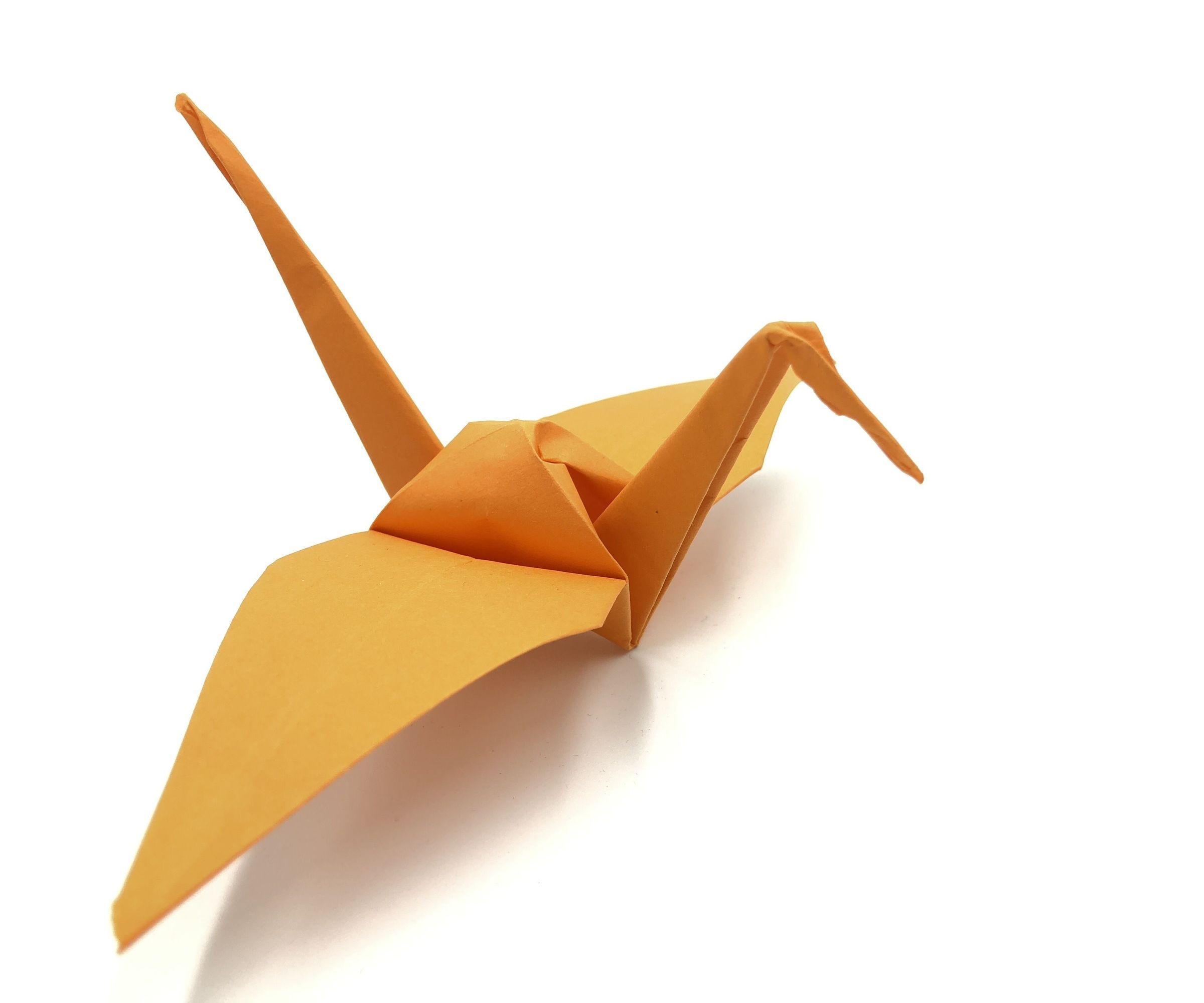 Tutorial Grulla De Papel Origami Paso a Paso