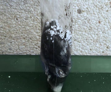 Accelerating the Reaction With Calcium Chloride