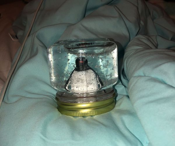How to Make a Snow Globe