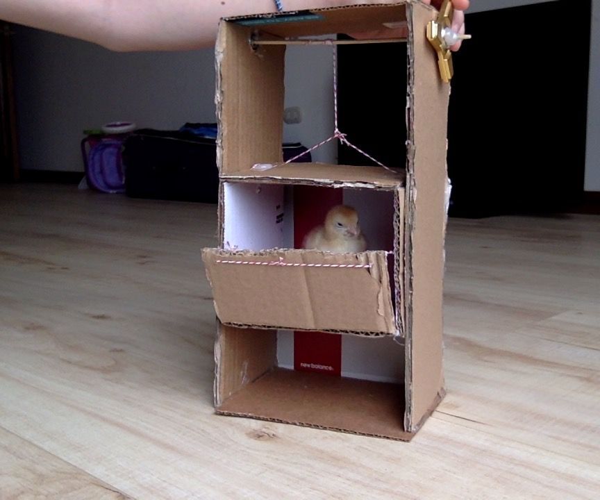 Tiny Chicken Elevator