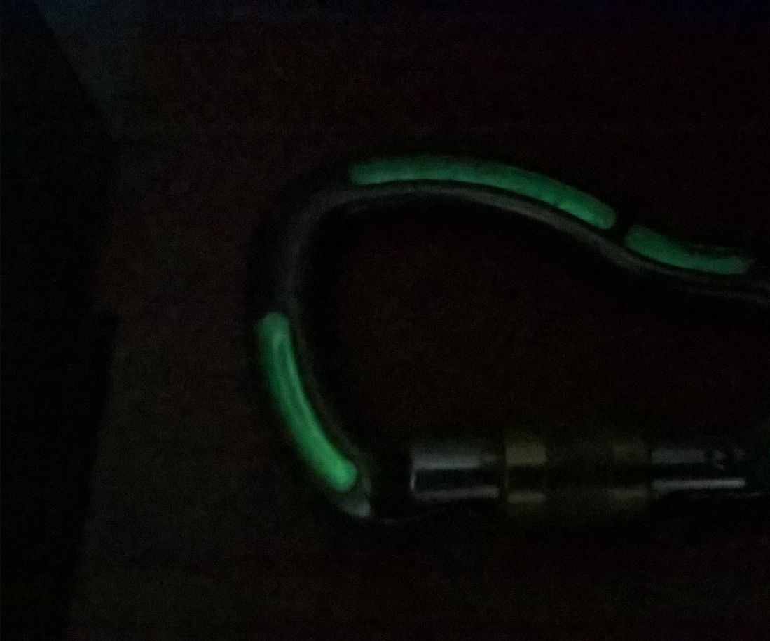 Glow in the Dark Carabiner Keyring