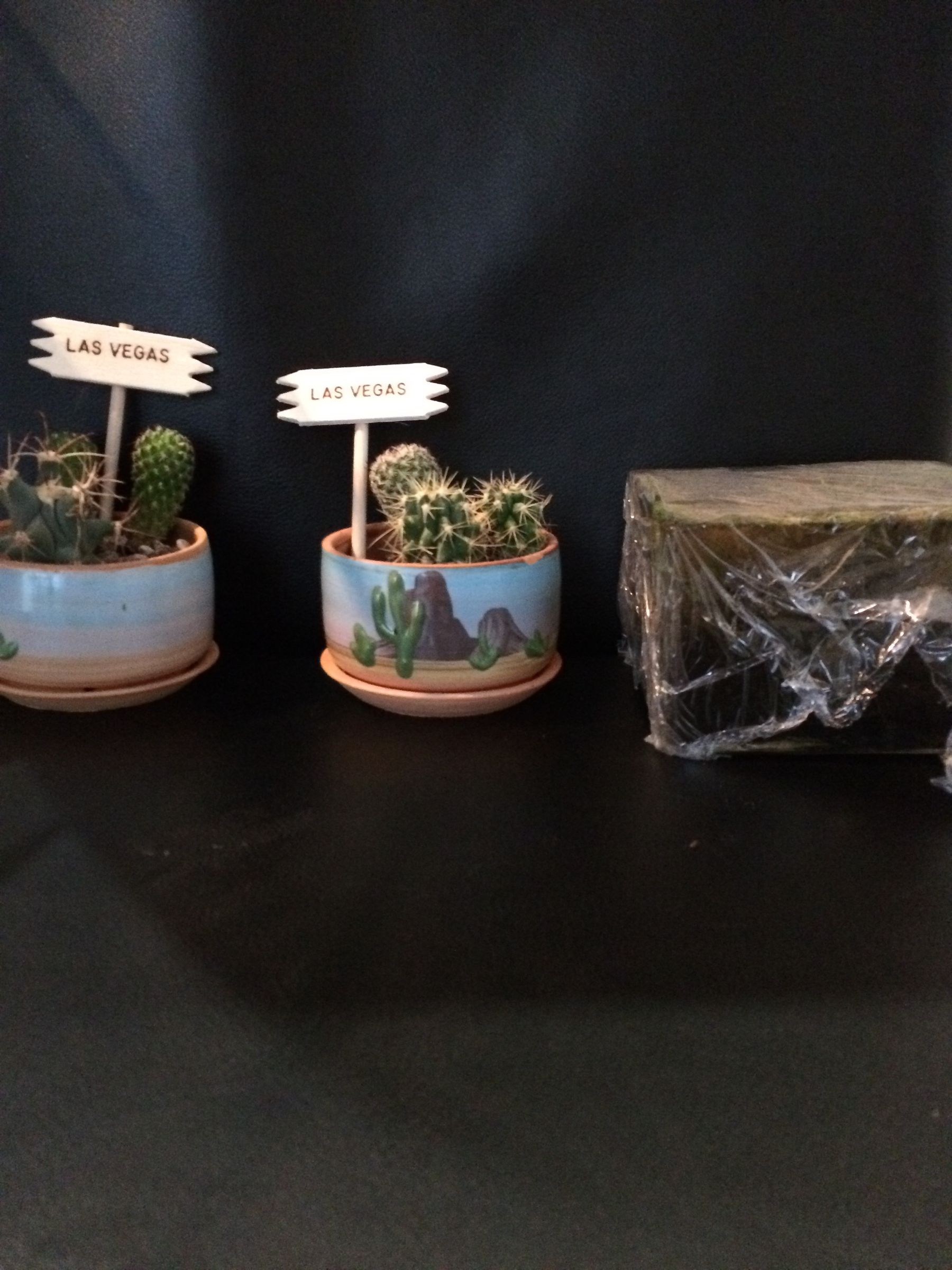 2 Easy and Cool Ways to Garden Indoors :)