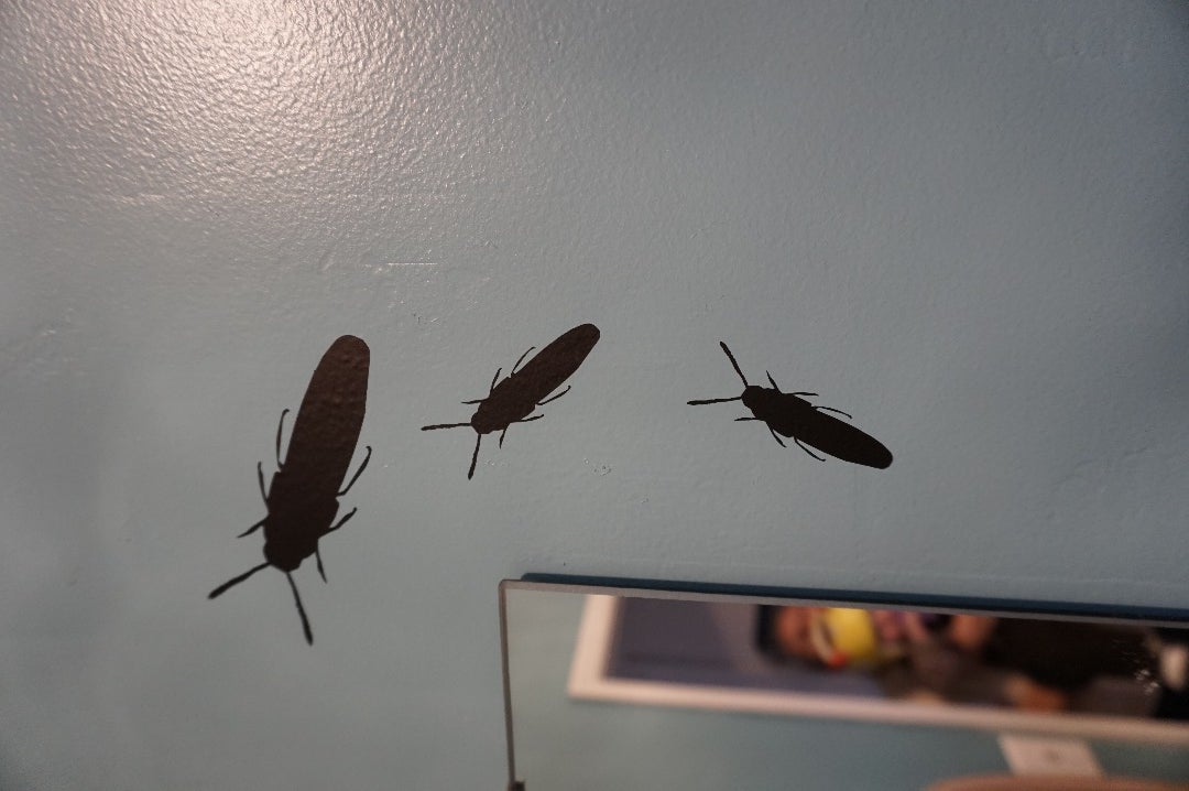 Sticking Up the Bugs