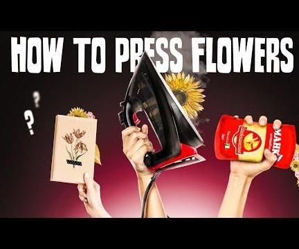 How to Press Flowers