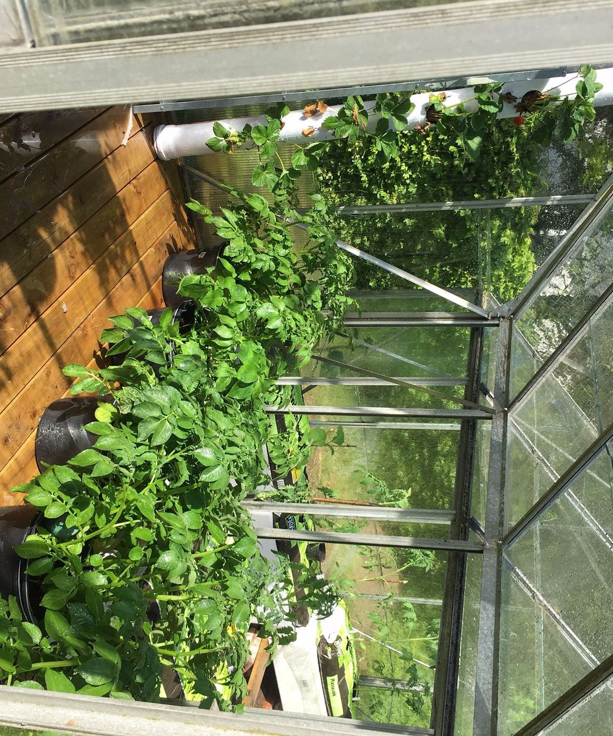 Solar Driven Automatic Greenhouse