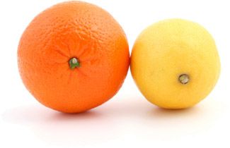 Dog Cologne(ALL NATURAL)