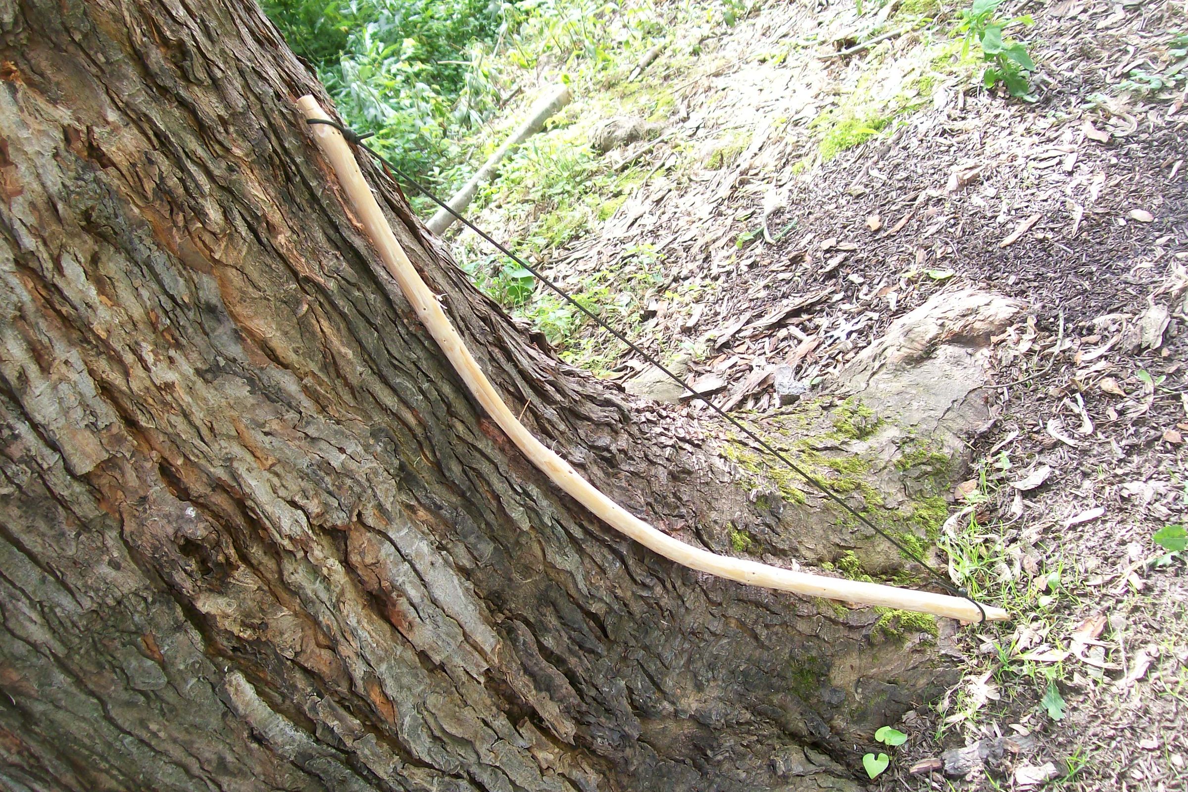 Emergency Survival Bow