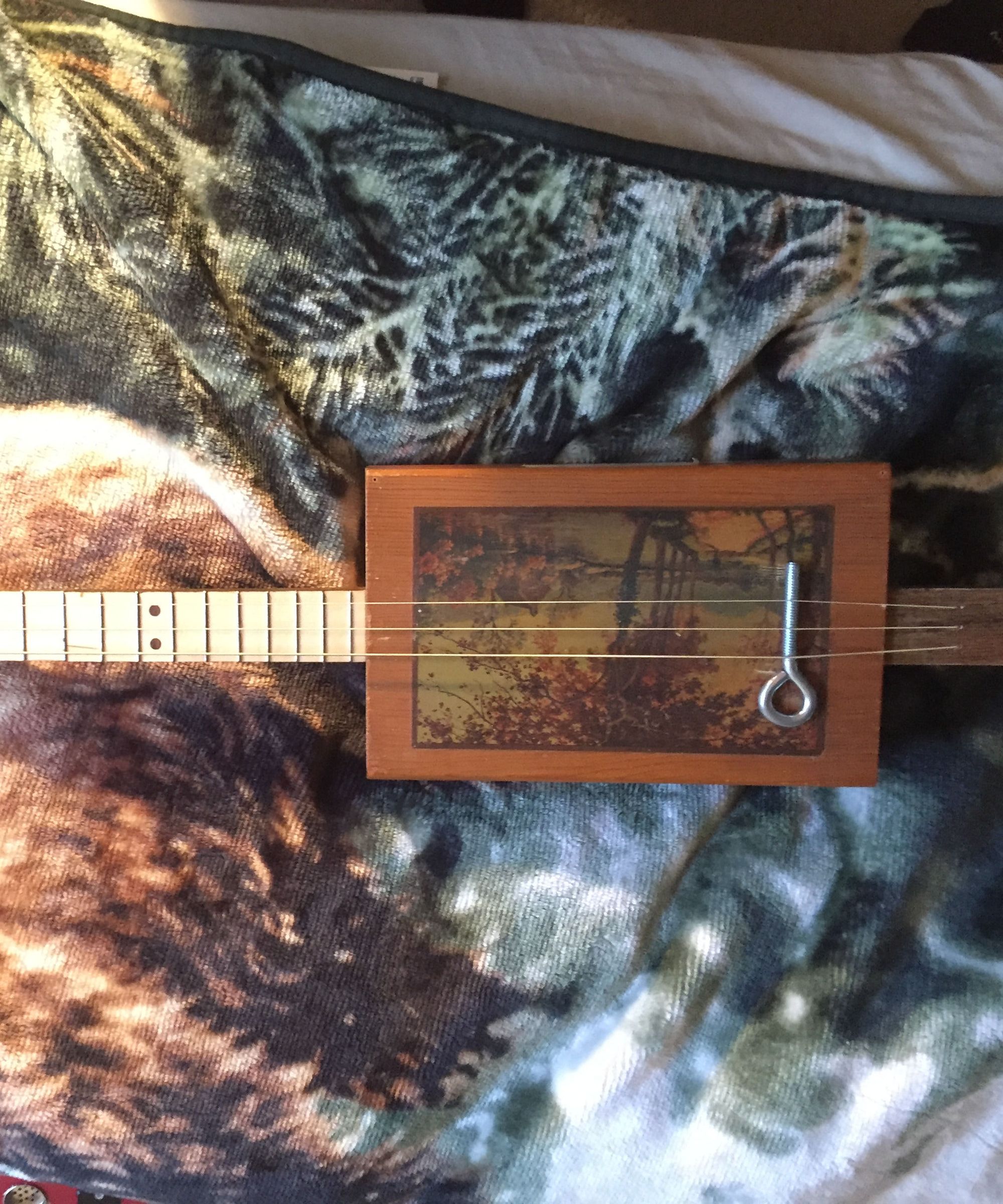 Cigar Box Guitars