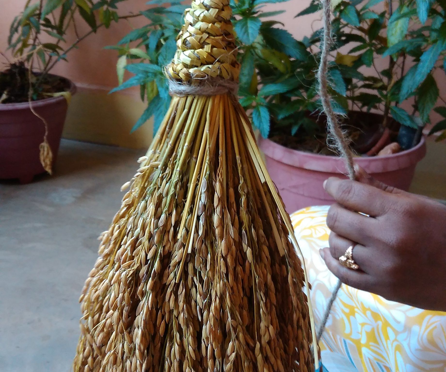 Eco Friendly Gift to Attract Sparrows & Parrots