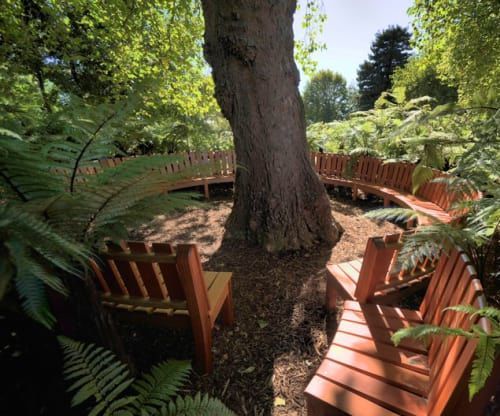 How to Make a Tree Lover's Garden Bench