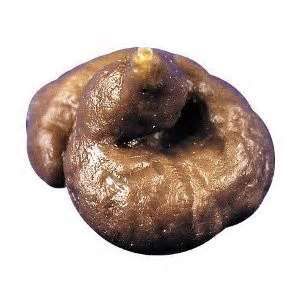 Fake Poop
