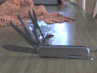 How to Clean a Pocket Knife (Swiss Army Kind)