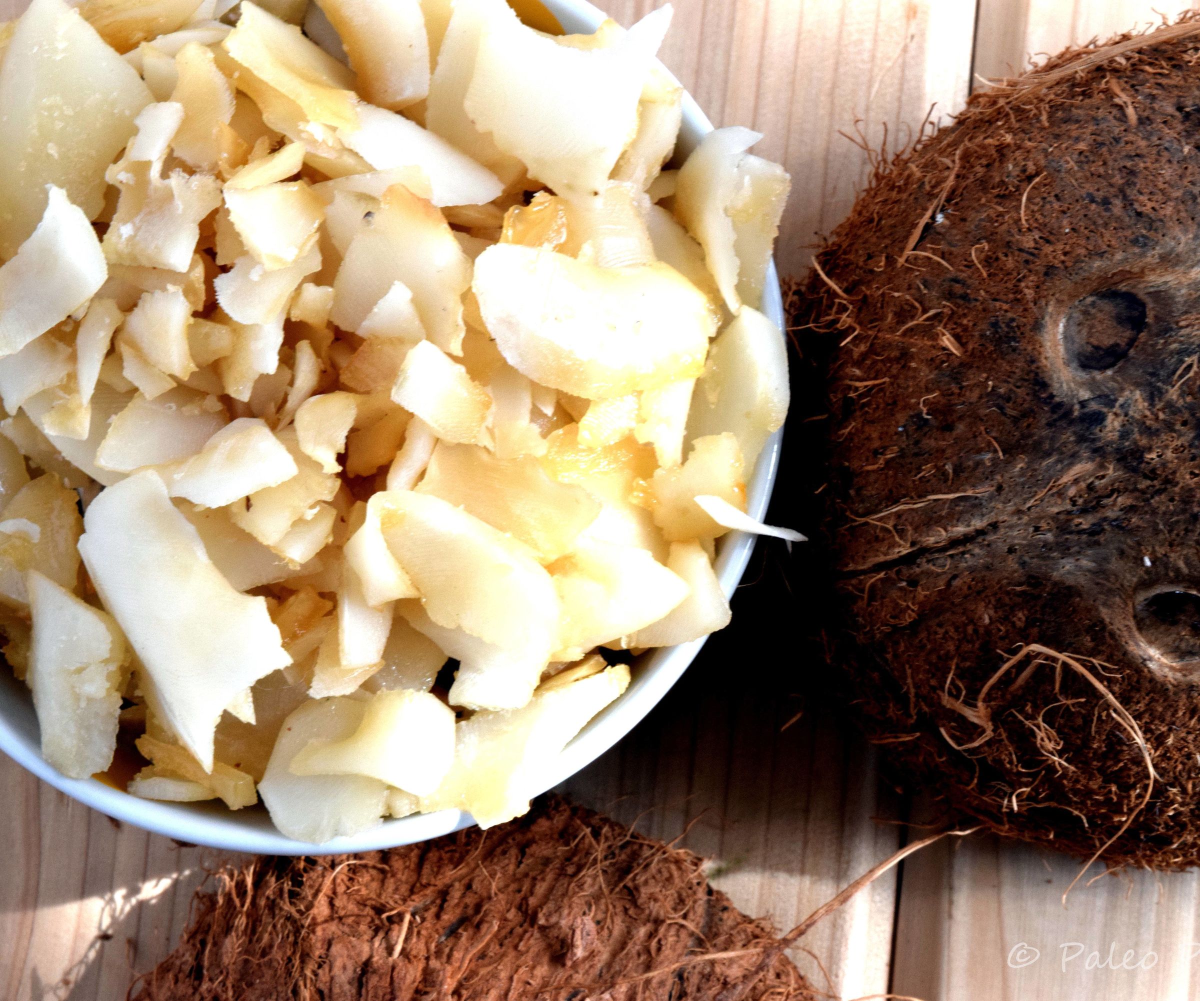 Dry Roasted Coconut Chips