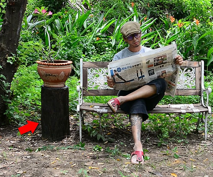 How to Make Concrete Tree Stump