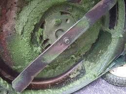 How to Replace a Lawn Mower Blade