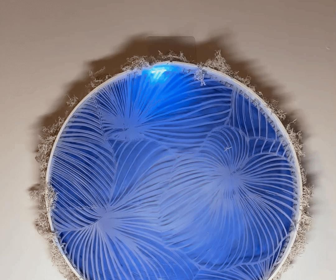 Nature-inspired Sound Sensor LED Wall Light