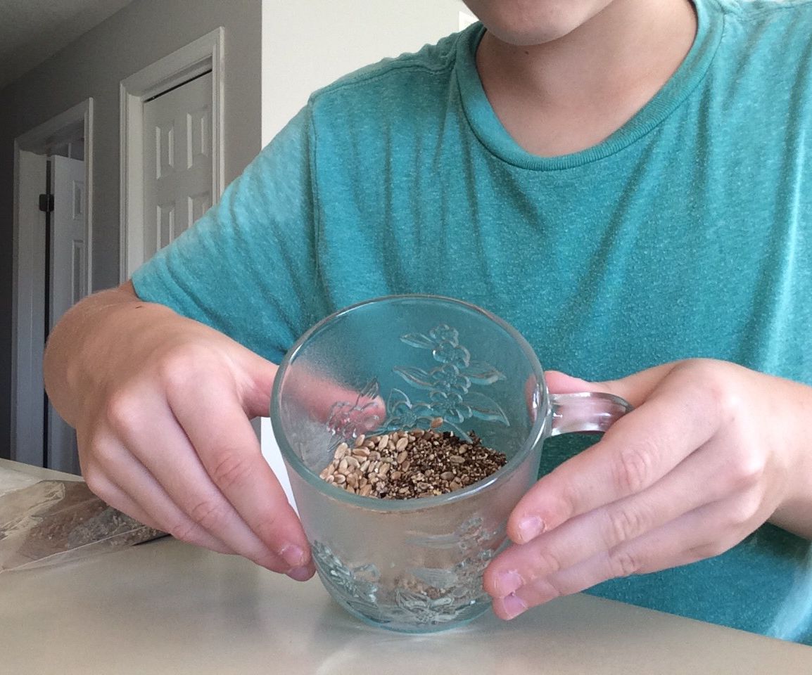 How to Grow Wheatgrass in a Cup