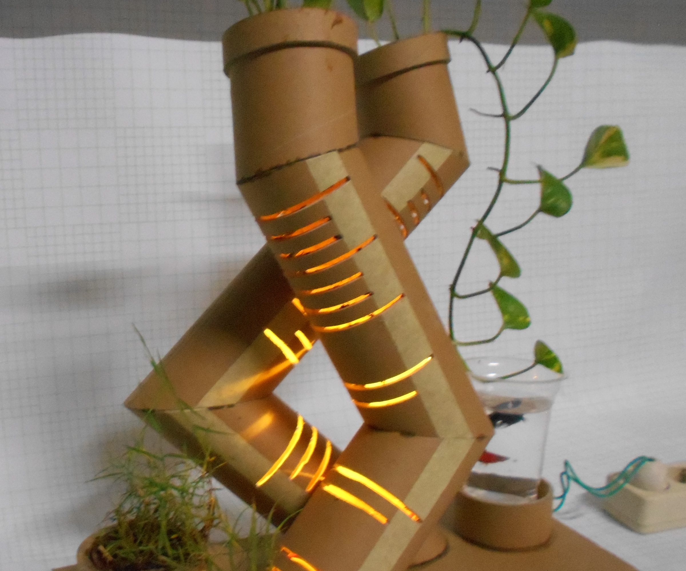 Plant Pots Cardboard With Light
