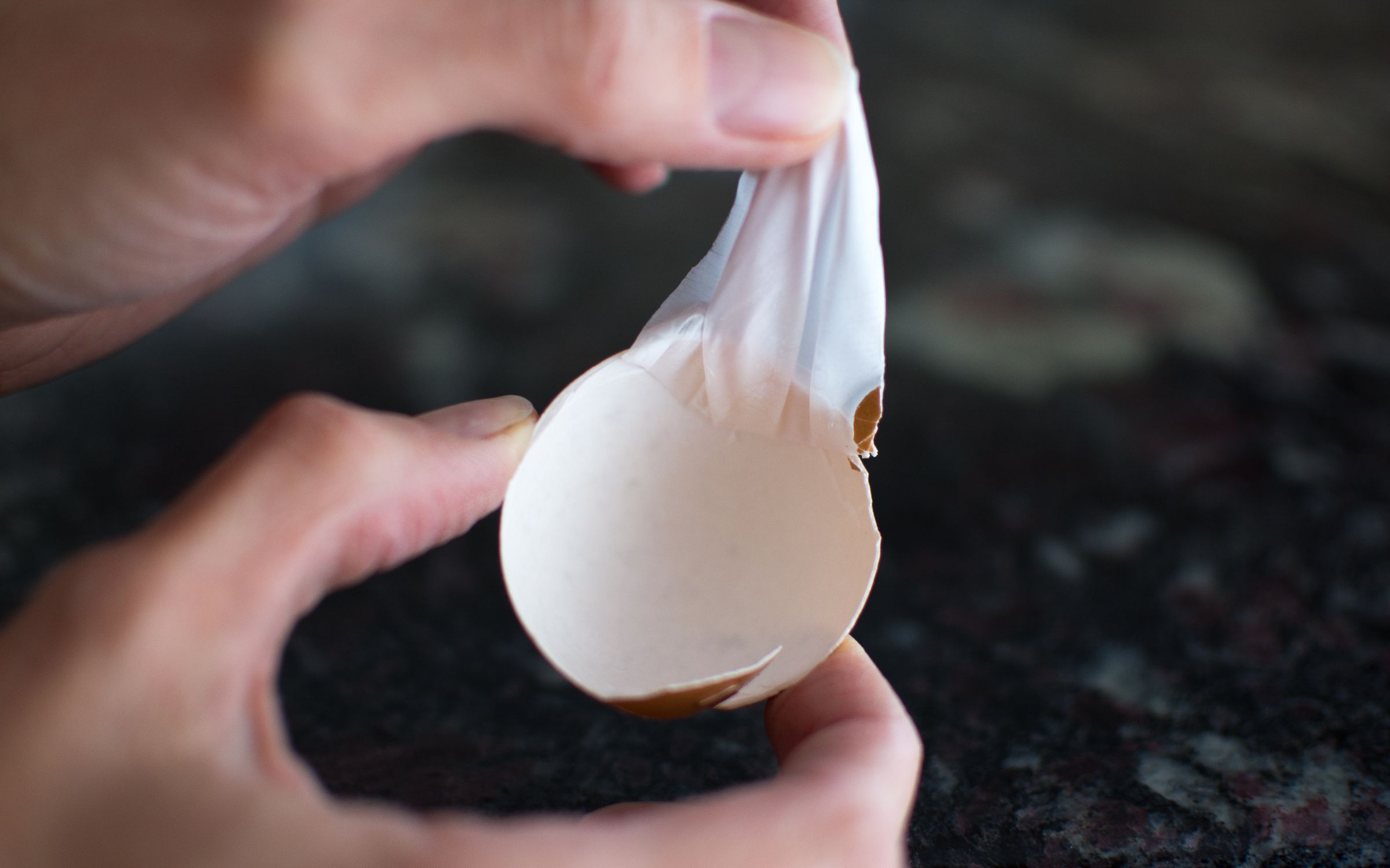 Eggs 12 Steps Instructables