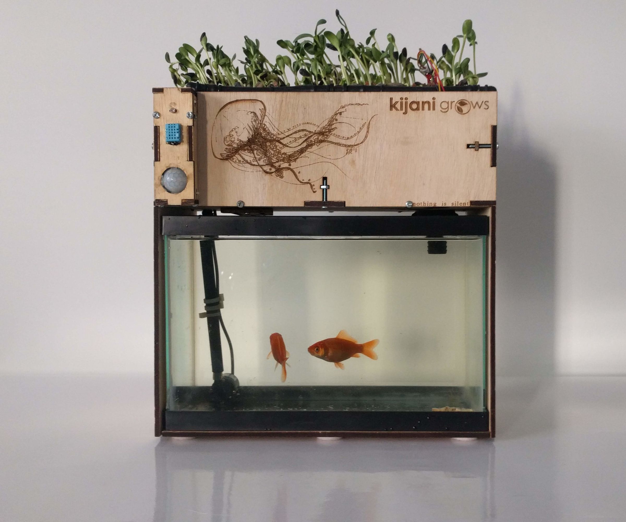 Making a Small Aquaponics Kit - Jellyfish