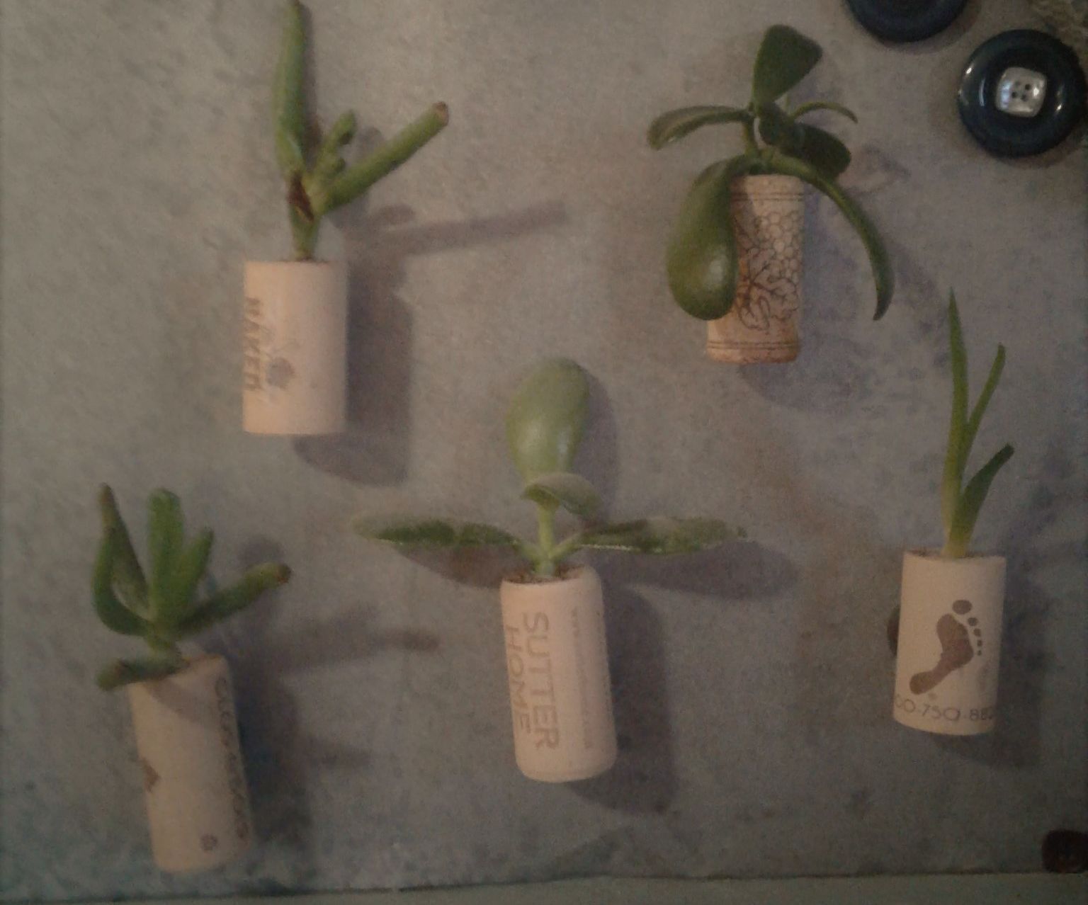 Mini Wine Cork Planter