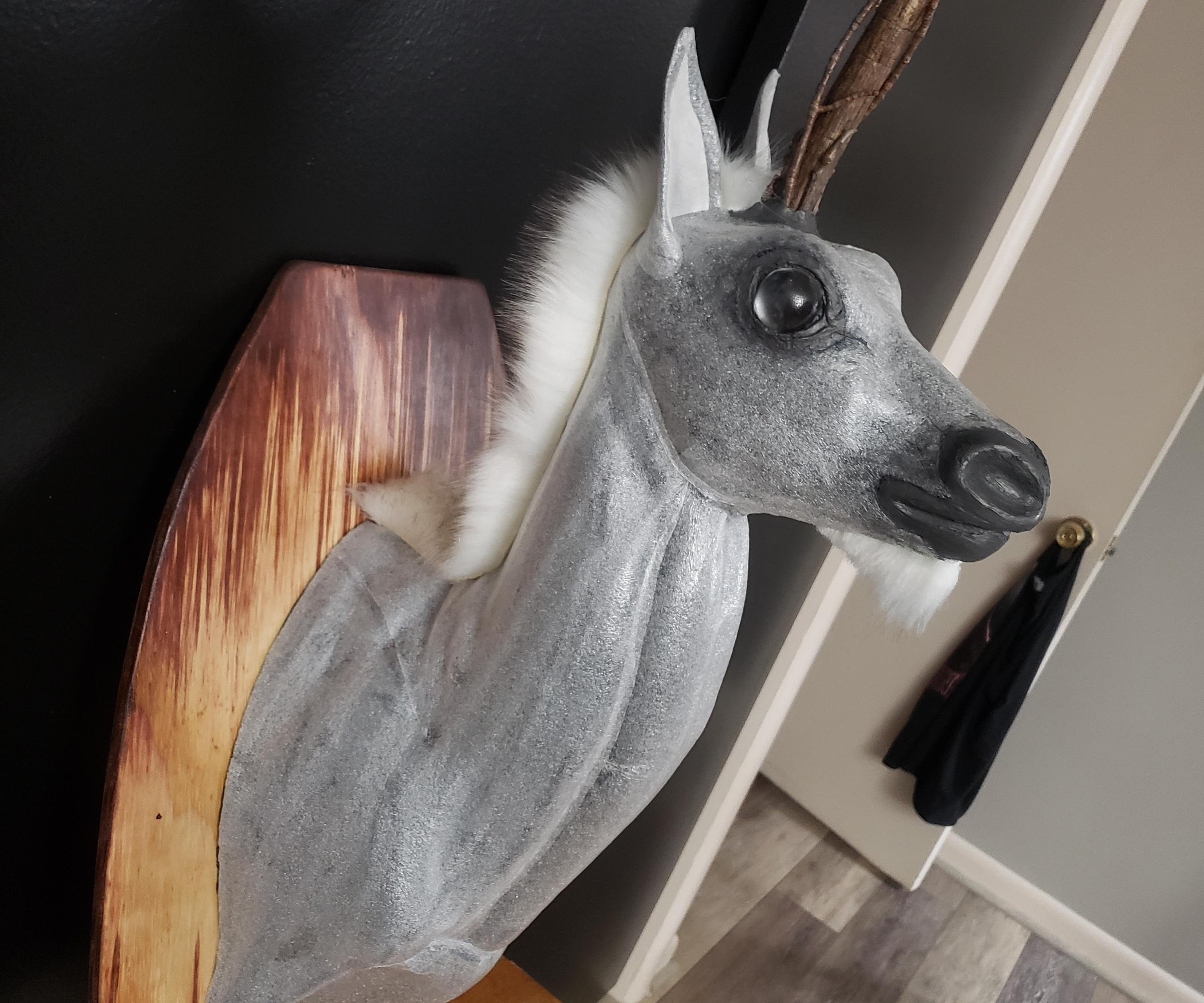 Unicorn Taxidermy