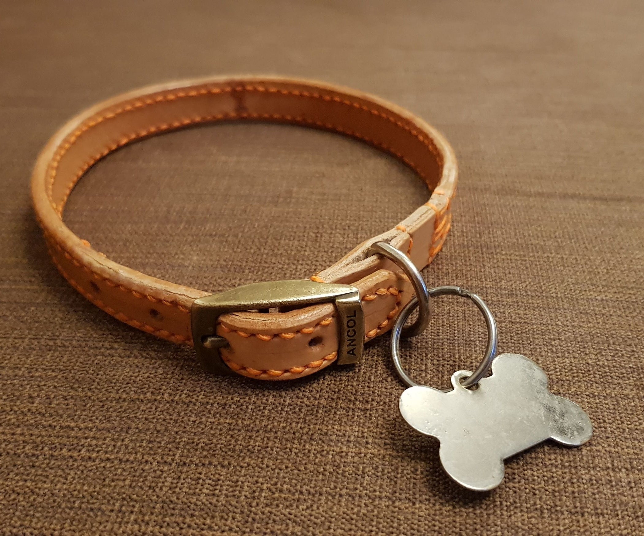 How to (Re) Make Your Dog's Collar 6 Steps (with Pictures