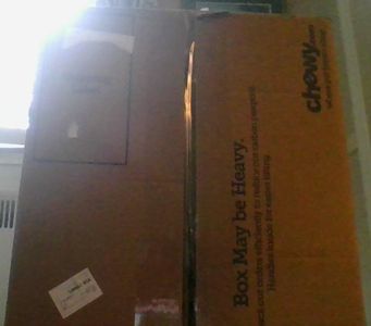 How to Upcycle a Box Into a Cardboard Safe (easy Way)