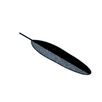 download {{ file.name }}