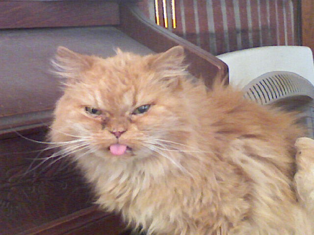 batteriesnotincluded