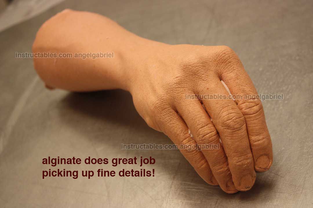 Plaster  Alginate Casts of My Hand DIY