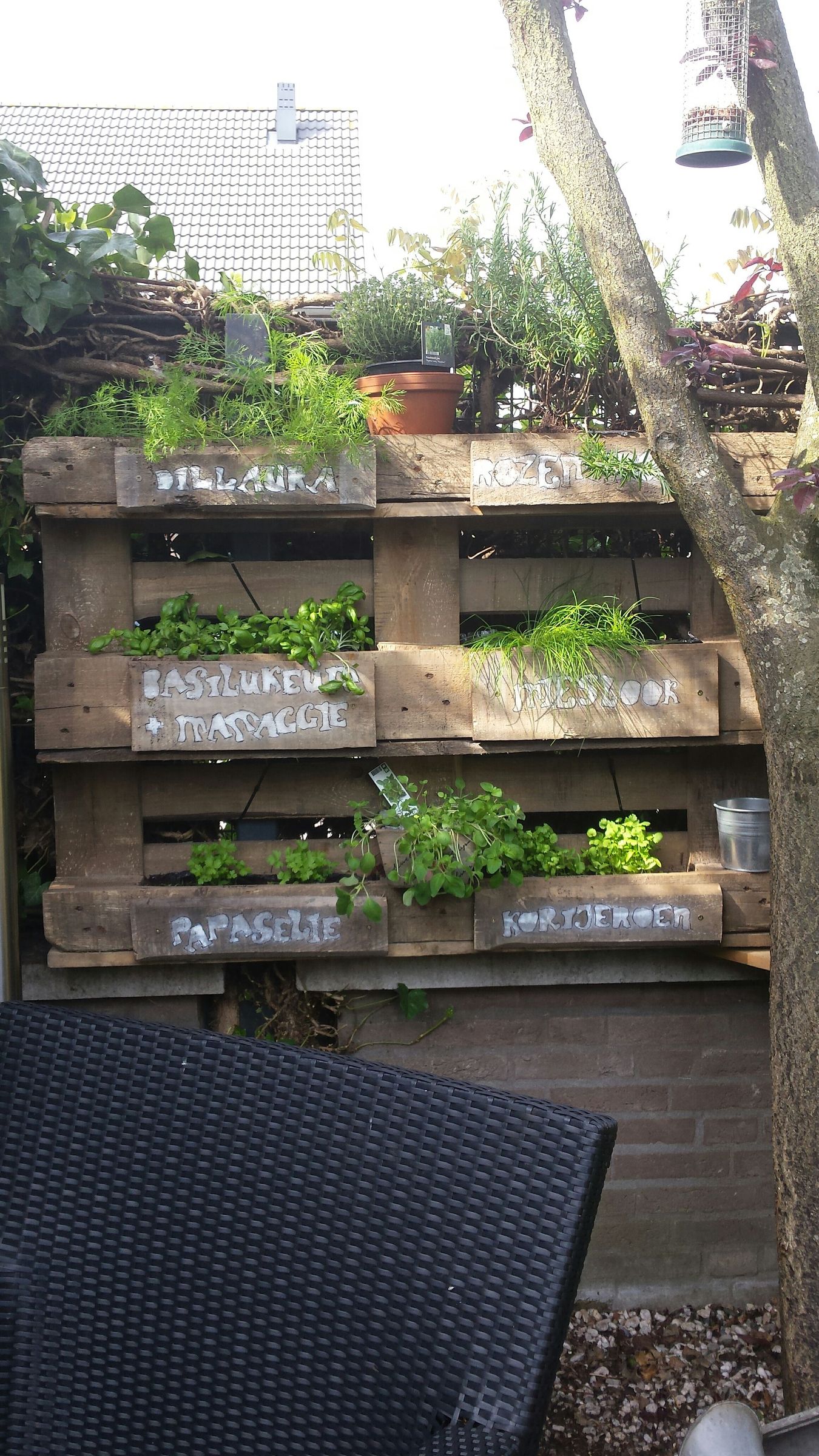 Family Herb Garden