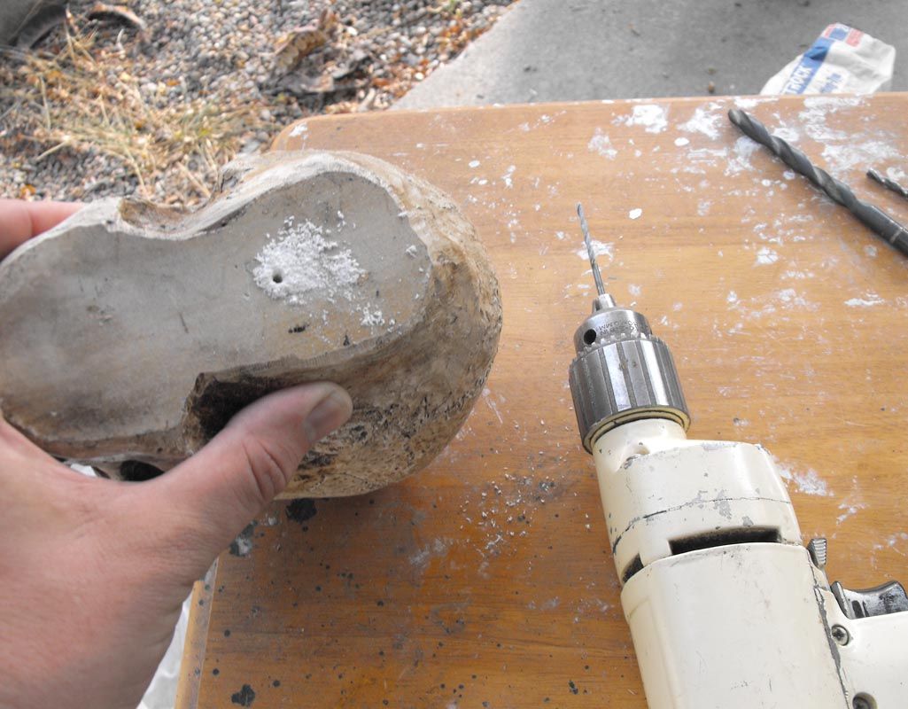 Plaster Molds and Foam Skulls