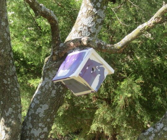 Recycled HDPE Multi-Color Wren House