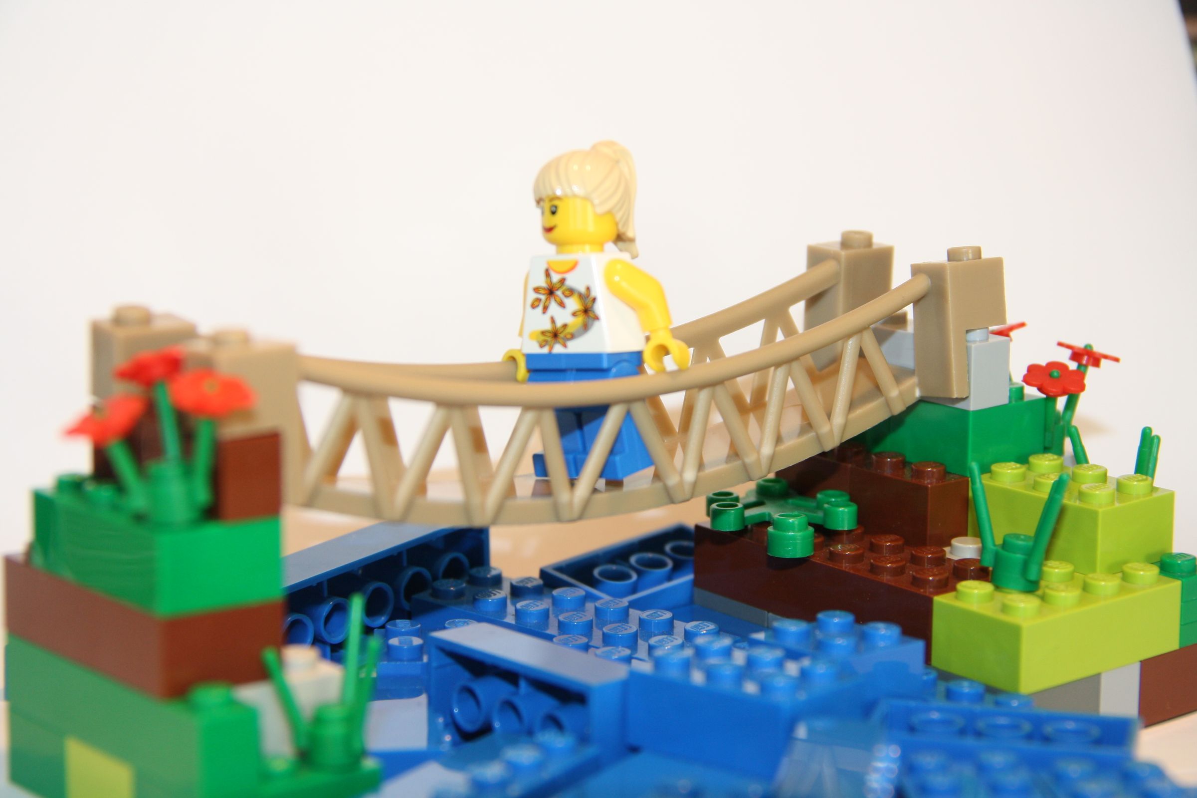 Bridge Models